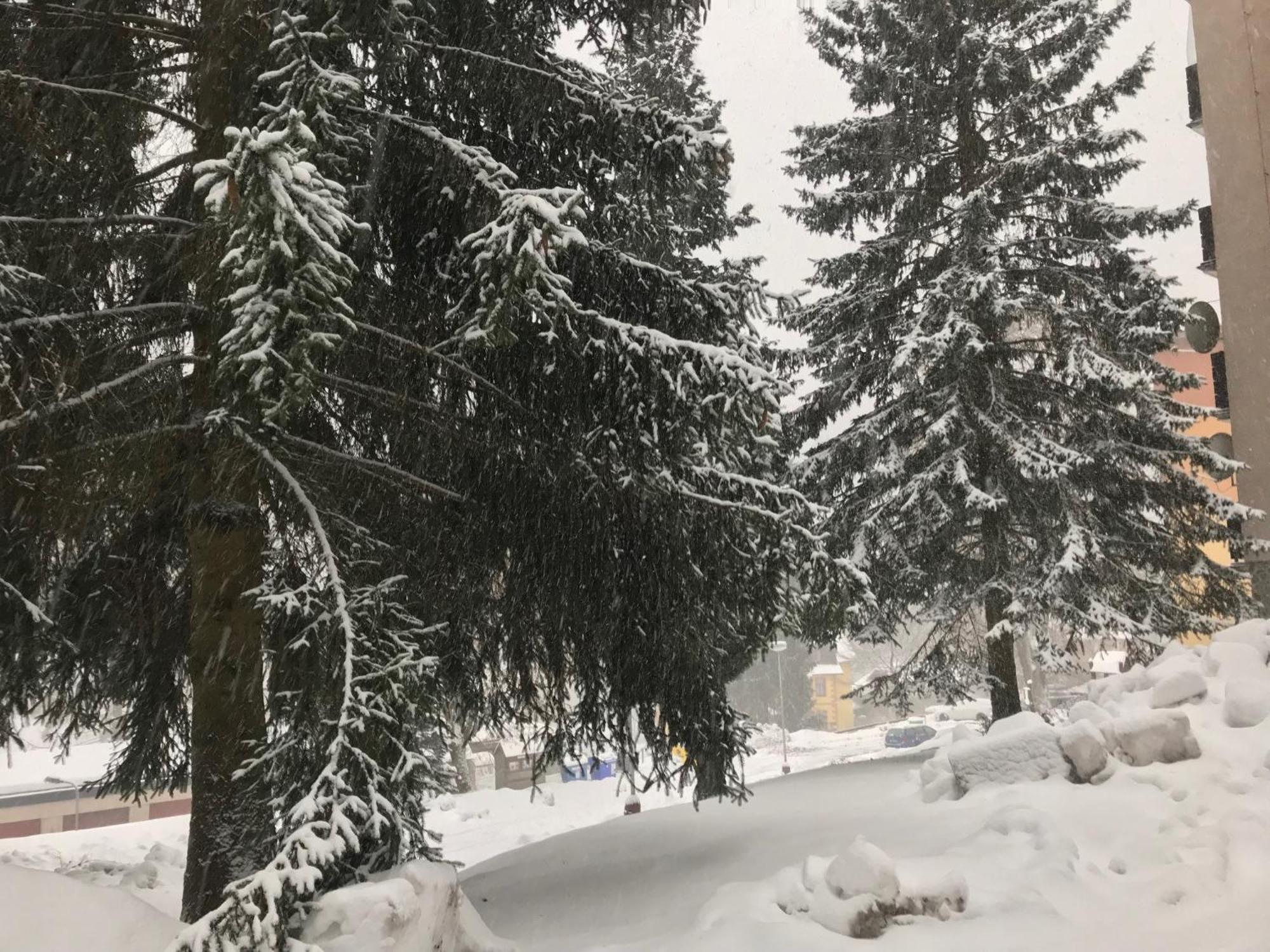 Julie 1 Daire Svoboda nad Úpou Dış mekan fotoğraf